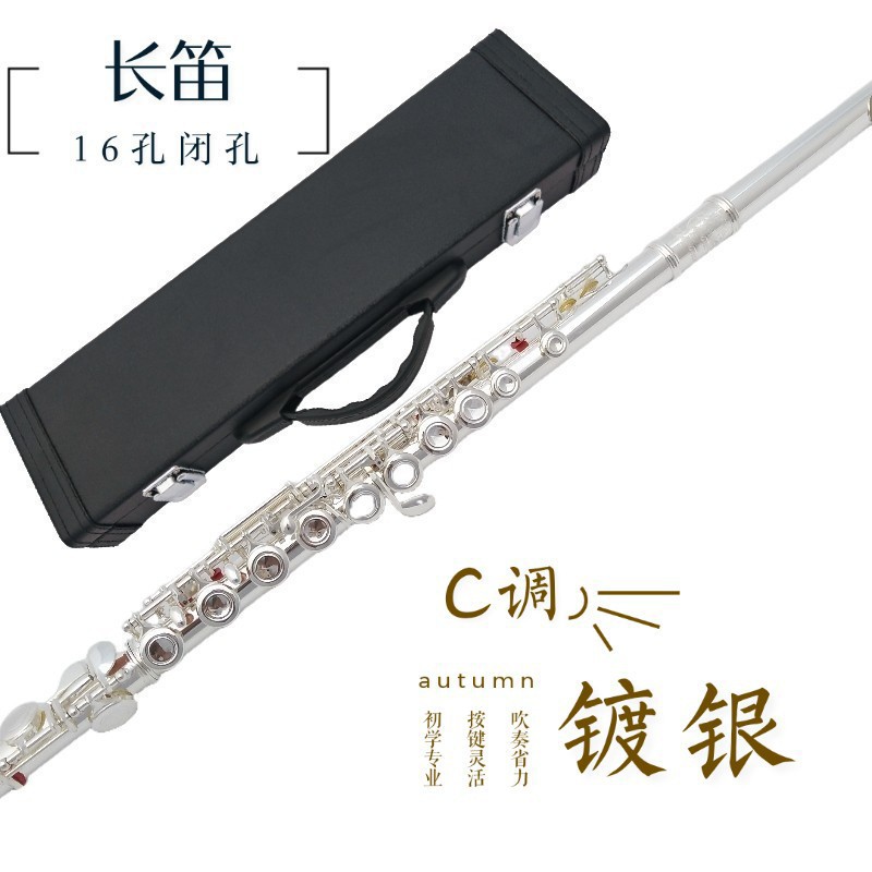 厂家销售哈麦伦长笛乐器C调镀银16孔闭孔E键长笛学生初学成人乐队