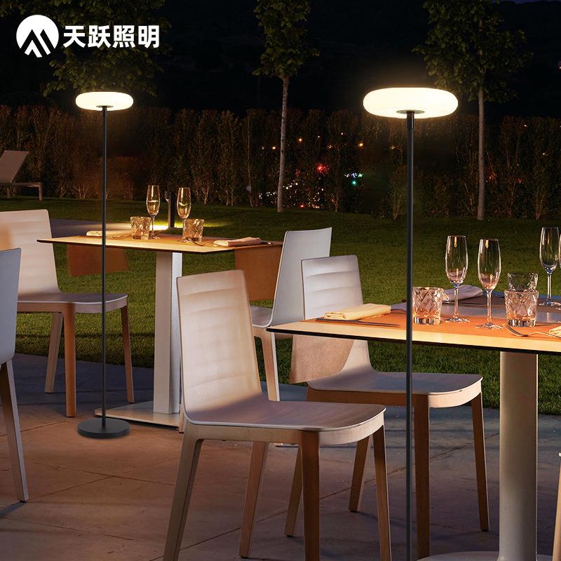 户外太阳TYZM-LDD能草坪阳台露营防水落地灯简别约墅花园庭院灯台