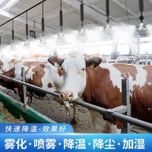 养殖场养猪场鸡鸭牛舍降温喷头设备定时喷淋雾化消毒加湿系统
