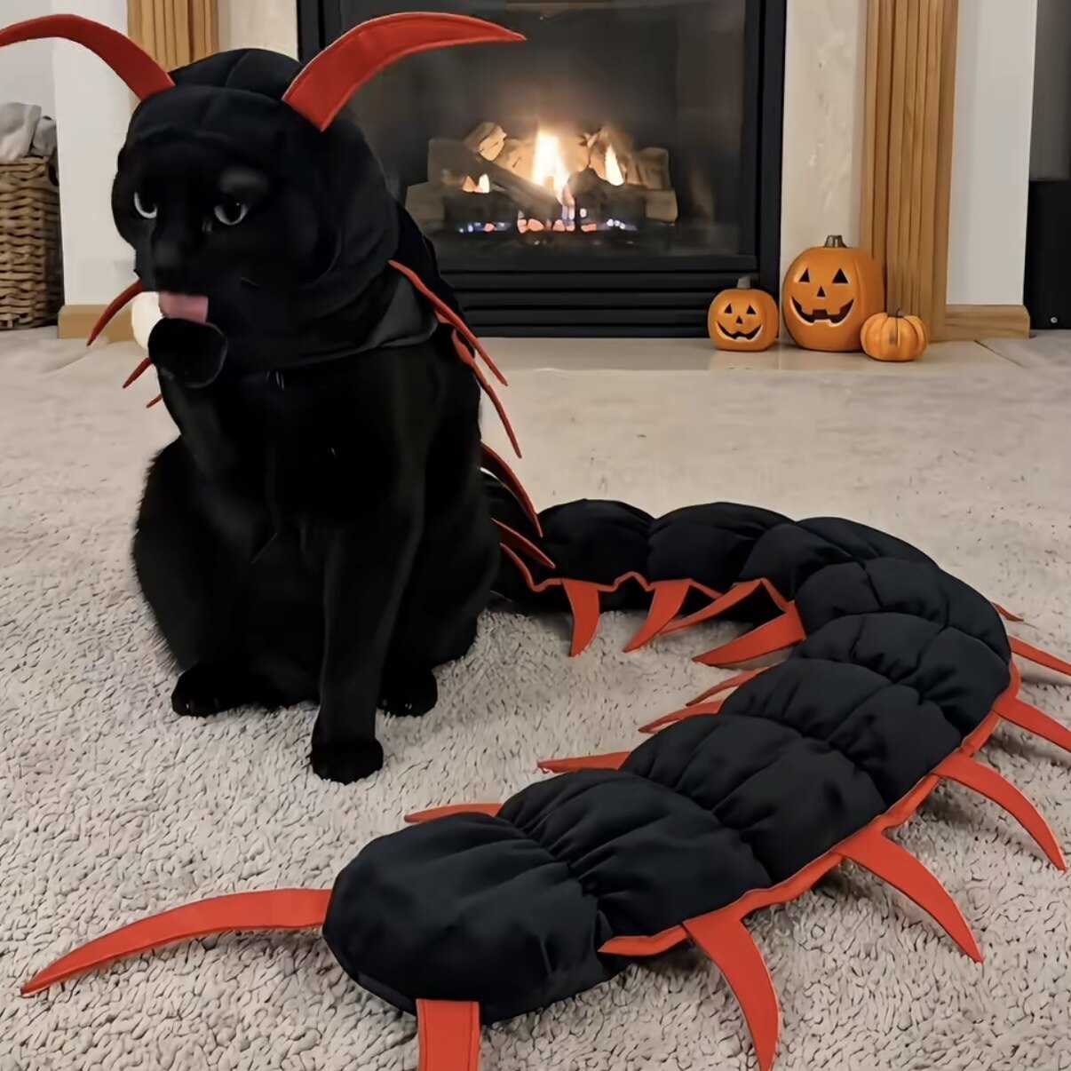 猫咪蜈蚣衣服头套万圣节cosplay
