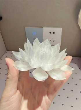 悬浮掌心莲花灯笼中秋国庆元宵节