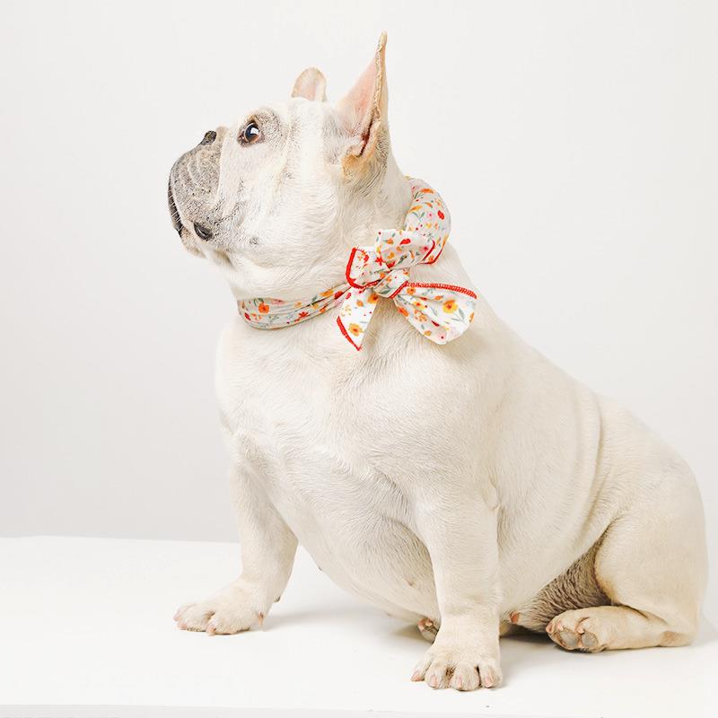 宠物降温围脖冰凉三角巾丝巾吸水重复使用物理降温宠物夏季防中暑