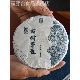 野生白茶云南野生古树绿芽苞茶冰糖甜韵月光白芽孢茶荒野白茶饼茶