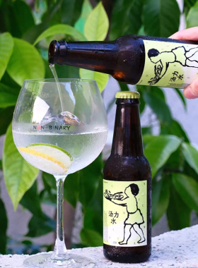 NON BINARY 非二进制汤力水 气泡水碳酸饮料调酒含气饮料230ml*12
