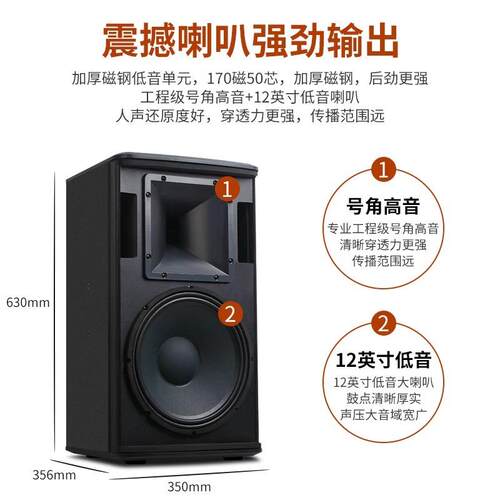 狮乐BX-112音箱12WVJ英寸20W专业音会议培训店背0酒景乐音箱一对
