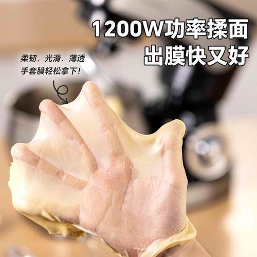 ZG多功家厨用师能机小型全自动志高SC-6打发鲜奶机商用和面2机204