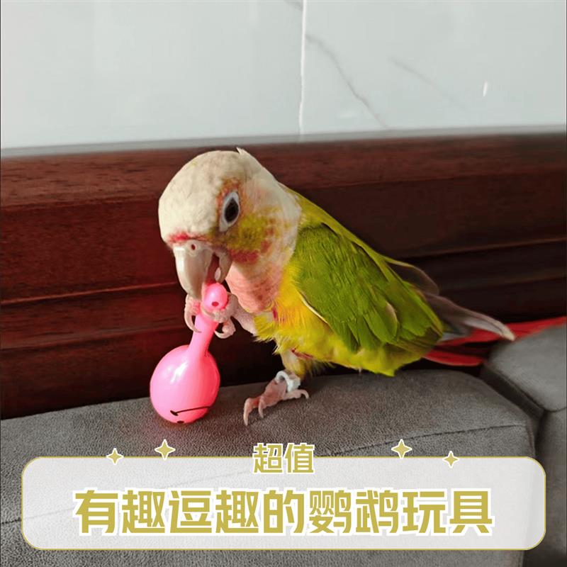 【旗舰店正品】鹦鹉玩具自嗨解闷虎皮牡丹小太阳啃咬小沙锤益智玄