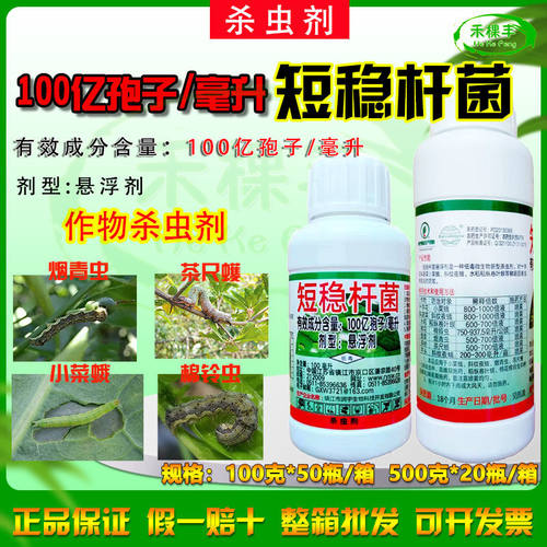 短稳杆菌100亿孢子/升茶尺蠖果蝇