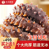 小兵海参鲜食即食海参小兵海参官方旗舰店辽刺参化冻即食独立包装