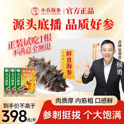 小兵海参鲜食即食海参小兵海参官方旗舰店辽刺参化冻即食独立包装
