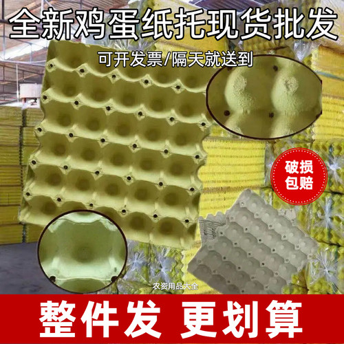 全新纸浆鸡蛋托盘包装盒纸托盘运输防震30枚蛋托包邮厂家批发