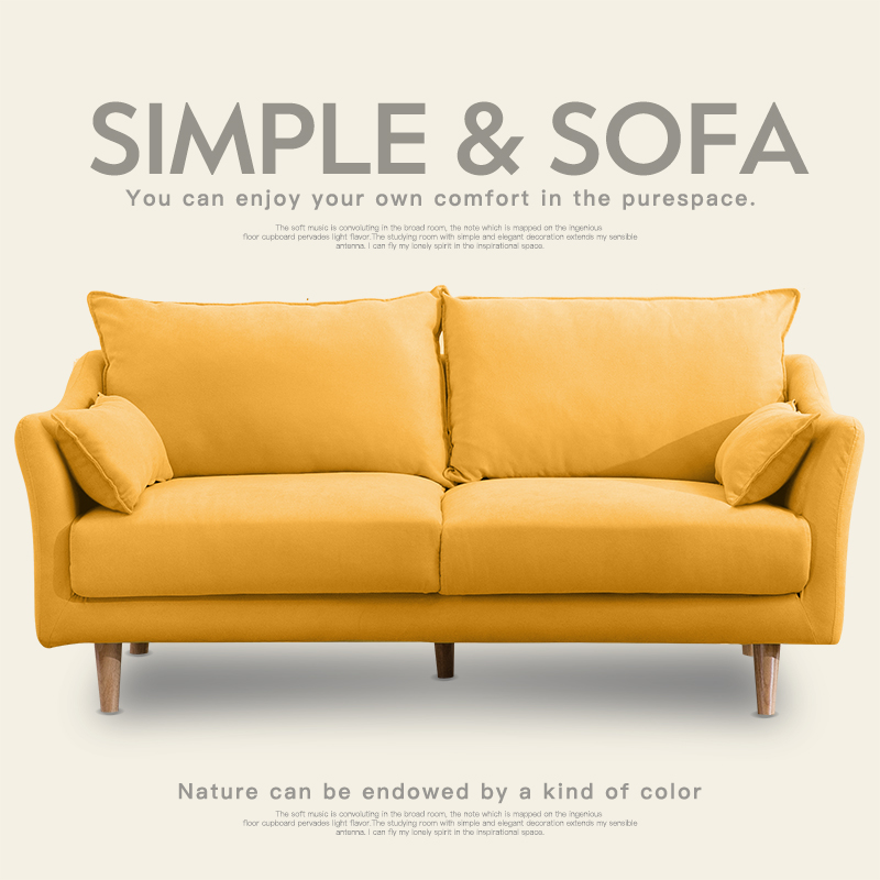 网红款三人现代简易服装店北欧简约客厅小户型布艺沙发双人出租房