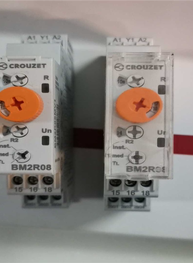 88830203 BM2R08MV1 时间继电器（gg设备）