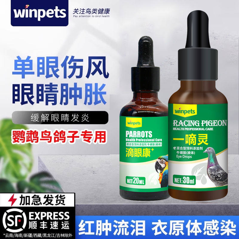 鹦鹉眼病单眼伤风一滴灵眼流泪肿胀闭眼玄风虎皮信赛鸽眼药水用