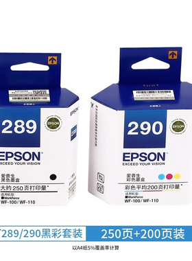原装爱普生T289 289黑色墨盒T290 290彩色墨盒 WF100 WF110维护箱