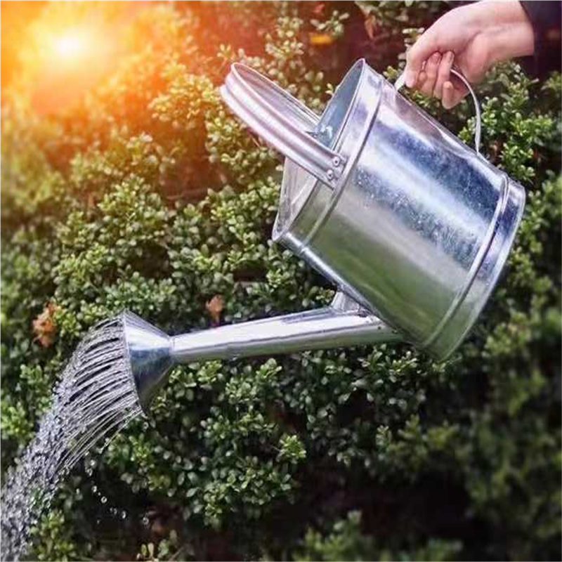 加厚大容量洒水壶镀锌不锈铁皮喷壶园艺浇花壶农用浇菜壶浇水桶