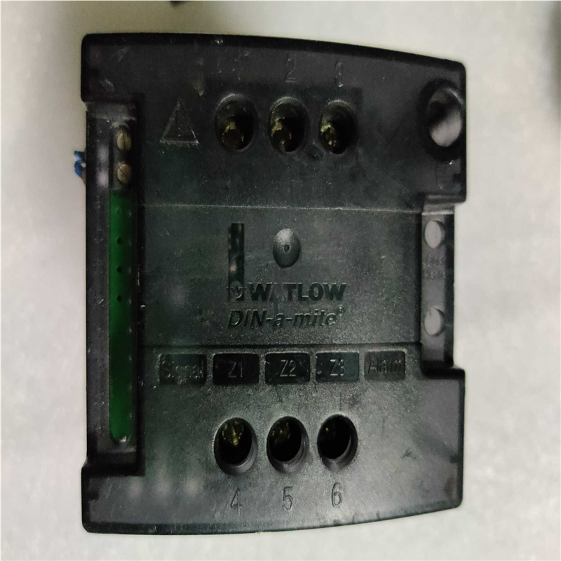 WATLOW瓦特隆温控器DB10-60CO-0000.成(崽崽配件）