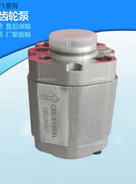 CBK-F179BL/F130/F116/F140/F148/F153/F158/F125BL举升机齿轮泵