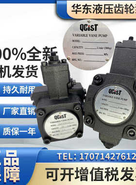 VVP20B/55秦川机床QCIST叶片泵VVP30B/70 VVP40B/35 VVP20B/70/35
