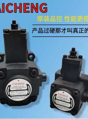 TAICHENG 液压油泵VP-40-FA3叶片泵VP-20-FA3 VP-30-FA3
