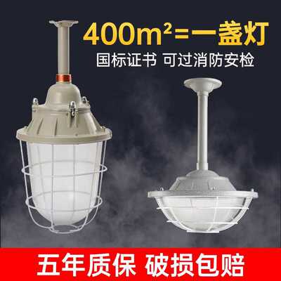 LED防爆灯仓库厂房防爆照明灯隔爆型加油站30.50.80W防爆灯罩工厂