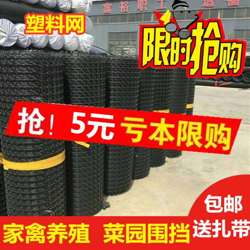 养鸡塑料围栏网 阳台安全防护网隔离网 鸡鸭围网 漏粪网养殖网
