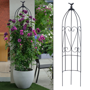 铁艺半圆组合式鸟笼花架阳台铁线莲灌木月季爬藤花架阳台花园装饰