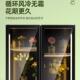花892店专鲜用鲜花冷藏保柜展示柜风冷无霜花艺冷箱红柜冰柜冰网