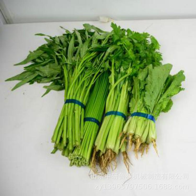 全自o动pp束带机一机多用小绑型KED机菜塑料件绳子捆扎机