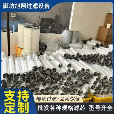 莱宝88813滤020/F60真空泵排A油雾滤ABL芯气芯