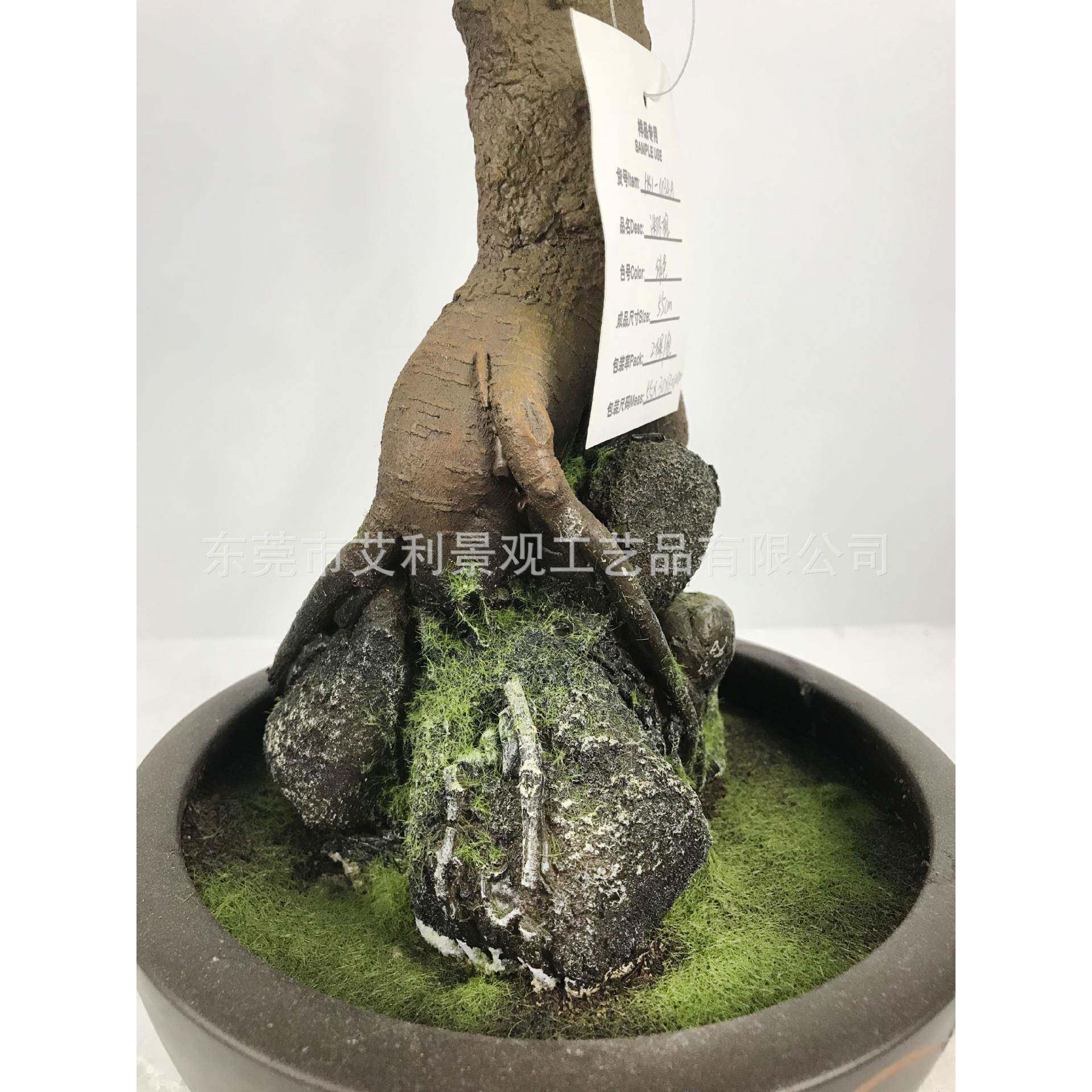 室内人盆栽榕树盆榕树小盆栽参榕盆栽室内绿植LWN景迷你美观