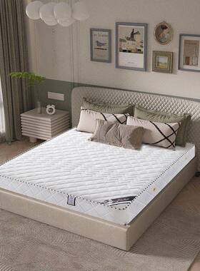 弹簧床垫2cm0厚51.8米经济型双人VMK偏硬1.m床软硬垫两用椰棕席梦