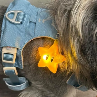 马里奥星星遛狗灯挂件狗狗夜间出行防走失遛狗神器宠物配饰夜光灯