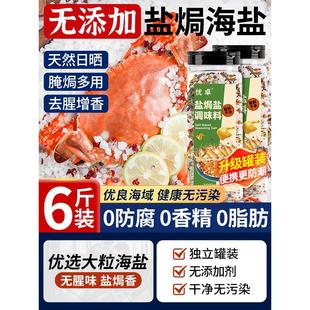 海盐盐焗粗盐海鲜调味料大粒专用调料包虾香料食用鸡调味粉猪肝用