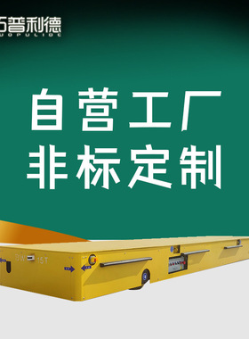 电动平板车食品加工设备生产车间运输用BWP蓄电池供电无轨地平车