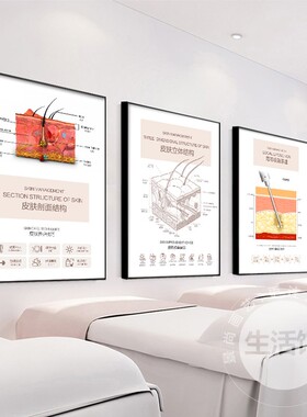 美容院挂画皮肤j管理装饰画抗衰老原理结构对比广告宣传艺术海报