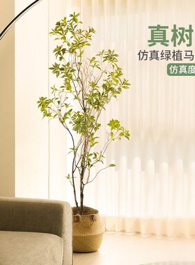 仿真绿植马醉木室内盆栽摆件高级轻F奢吊钟假树落地仿生植物装饰