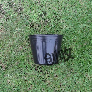 厂家农业加厚营养杯装土育苗x盘栽培种植幼苗穴盘栽培钵袋豆苗花