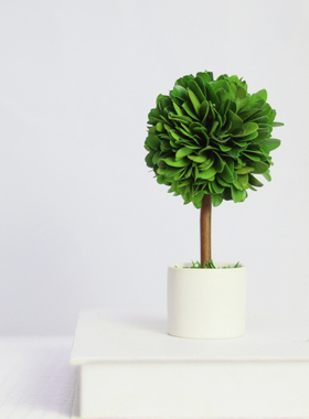 办公室工位桌面绿植上班情绪稳定神器客厅玄关Q植物小摆件家居装