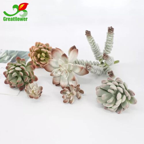 仿真多肉植物懒人套餐假多肉绿植diyG组合盆景盆栽桌面假花小摆件