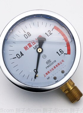 YN-100抗震压力表0-1.6MPa液压表16公斤气压表径向4分螺纹M20*1.5