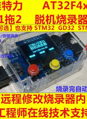 雅特力AT32F403/413离线烧录器 脱机 1拖2路 STM32 型号K202 远程