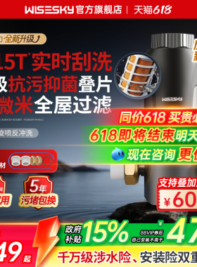 韦思卡尔反重力前置过滤器家用反冲洗自动刮洗自来水全屋净水85T