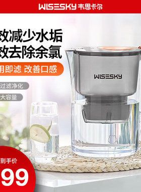 韦思卡尔滤水壶家用厨房自来水净水器大容量净水壶WS-P1