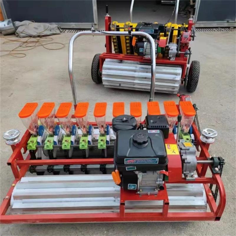 汽油自走式蔬菜精播机 免间苗菜种子点播机 十行青菜育苗播种机