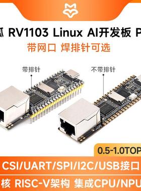 幸狐Luckfox Pico Plus RV1103微型Linux开发板 0.5TOPS AI算力