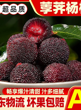 浙江兰溪黑炭杨梅冷链隔日达非仙居东魁孕妇新鲜水果现摘现发泡酒