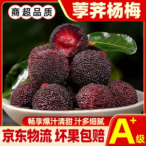兰溪杨梅现摘现发冷链空运