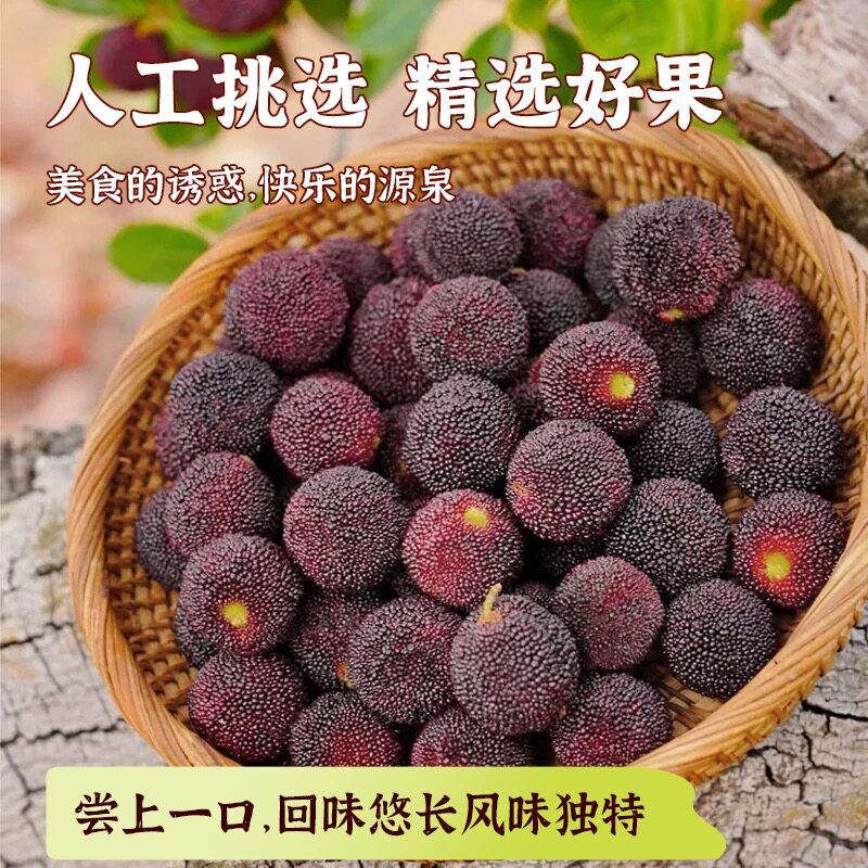 浙江兰溪黑炭杨梅冷链隔日达非仙居东魁孕妇新鲜水果现摘现发泡酒