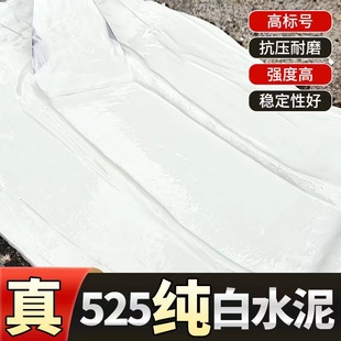 高强度白水泥525刷补墙瓷砖填勾卫生间速干防水家用堵漏填缝隙剂